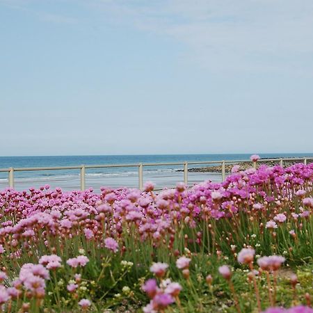 Salt Marsh Apartment Tywyn Bagian luar foto