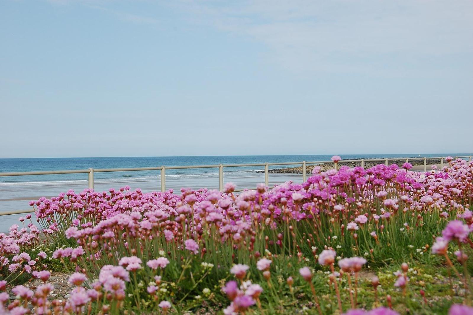 Salt Marsh Apartment Tywyn Bagian luar foto