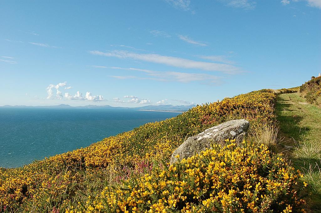 Salt Marsh Apartment Tywyn Bagian luar foto